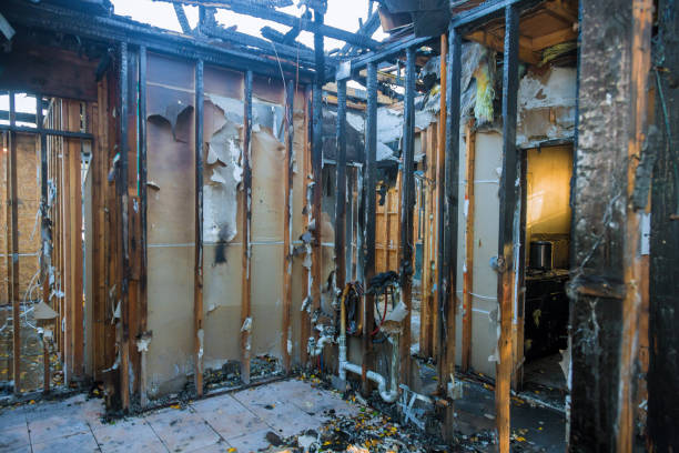 Professional Fire Damage Assessment technician working in Goodhue, MN
